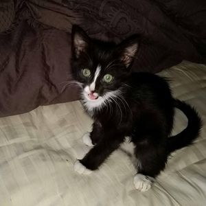 Meet your Posher, Roberto